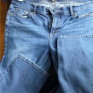 Banana Republic Classic Indigo Jeans